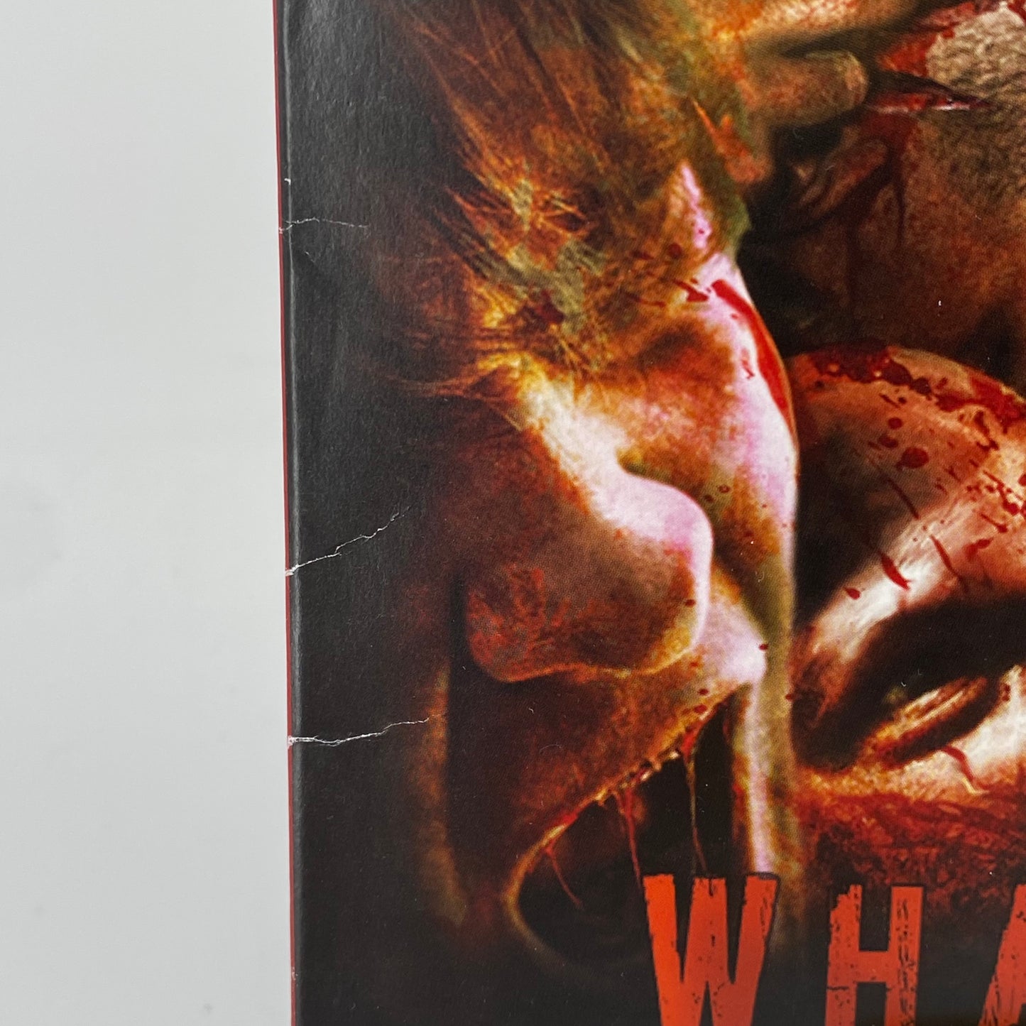 Jungle Rot: What Horrors Await Vinyl Record (Record Store Day Yellow Opaque)
