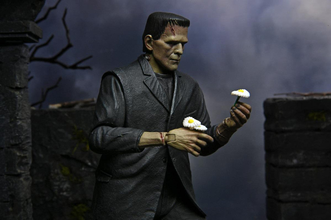 NECA FRANKENSTEIN COLOR UNIVERSAL MONSTERS ULTIMATE ACTION FIGURE NEW IN BOX