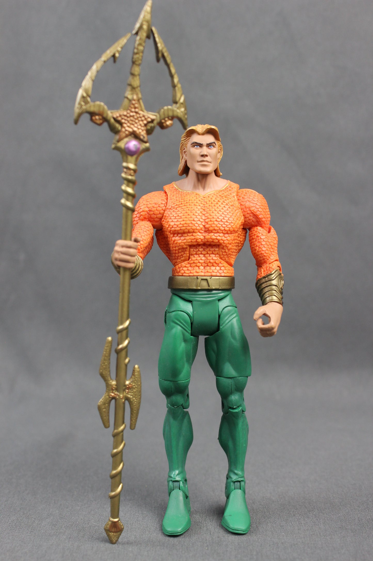 Aquaman (Long Hair) - Complete Mattel DC Universe Classics